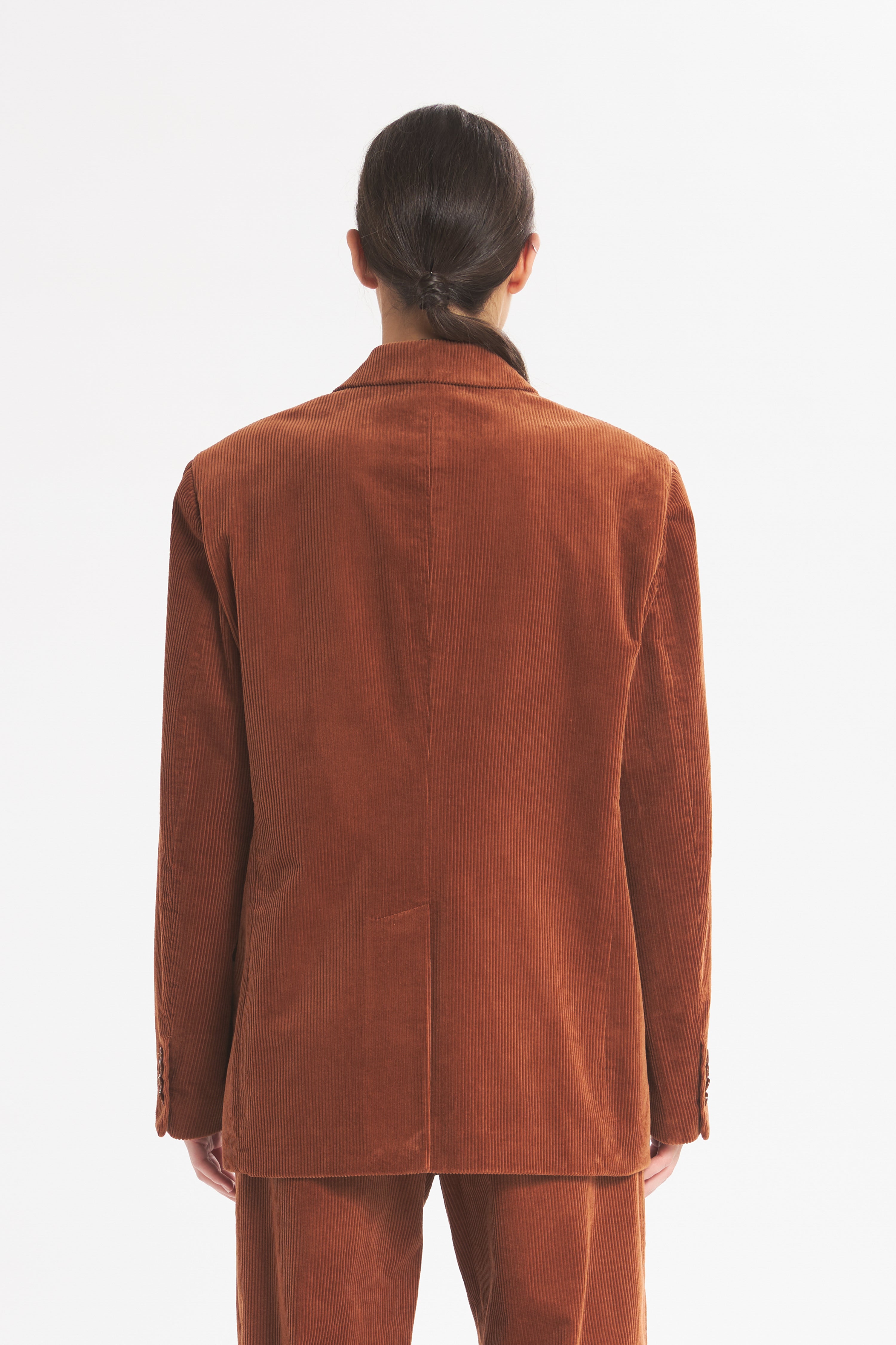 Jacket Faliero Cinquecento Siena